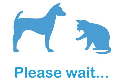 loading-image