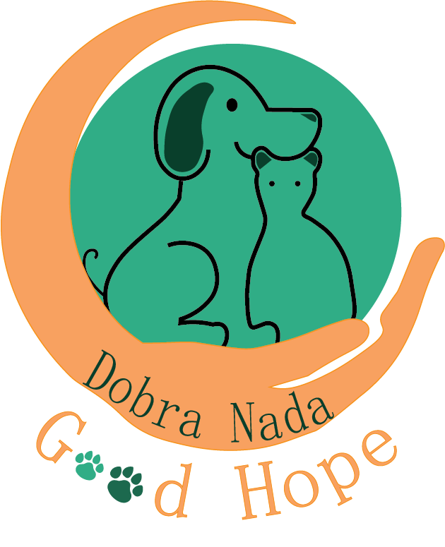 animal shelter dog cat
