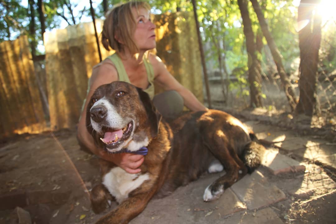 woman peting a huge dog and he is enjoying