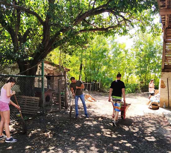 volunteer-at-animal-shelter