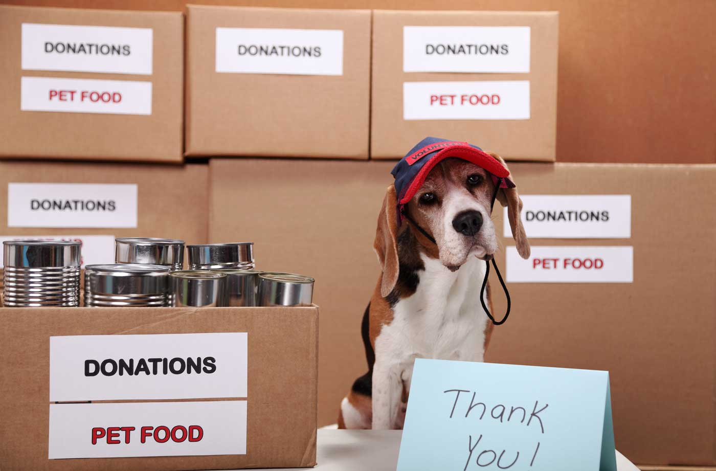 our wish list for animals